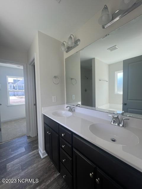 bathroom featuring a healthy amount of sunlight, a sink, and double vanity