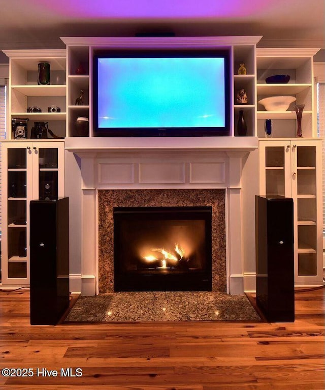 details with wood finished floors and a high end fireplace