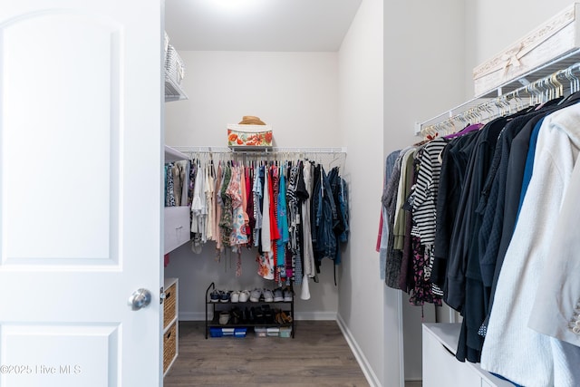 walk in closet featuring wood finished floors