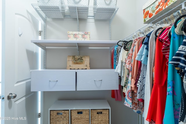 view of spacious closet