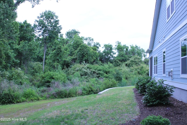 5982 Gray Squirrel Path, Southport, NC 28461 - view of yard