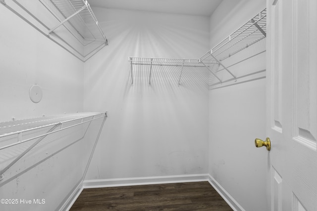 spacious closet with dark wood finished floors