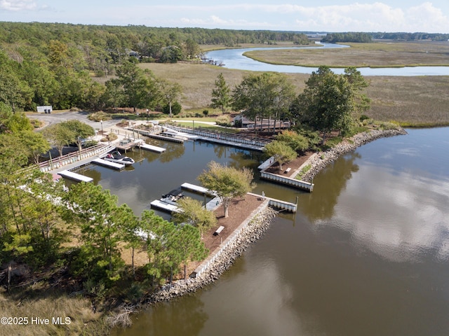 drone / aerial view featuring a forest view and a water view