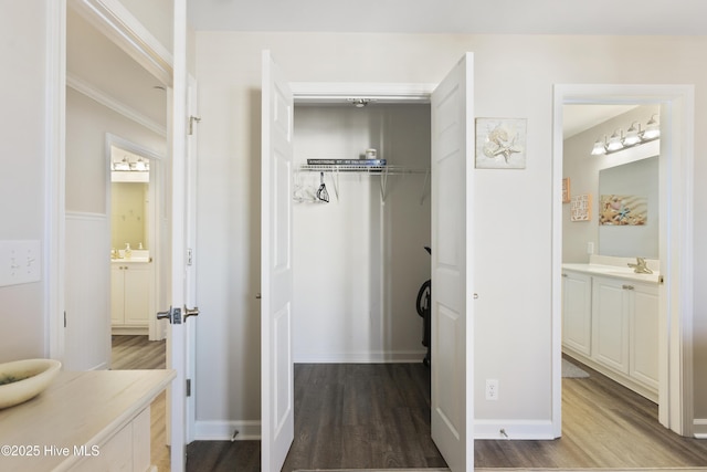 closet featuring a sink