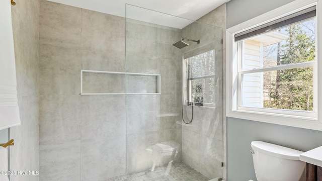 full bath featuring vanity, toilet, and walk in shower
