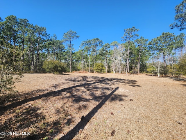 Listing photo 3 for 351 Catawba Rd Unit 58, Southport NC 28461