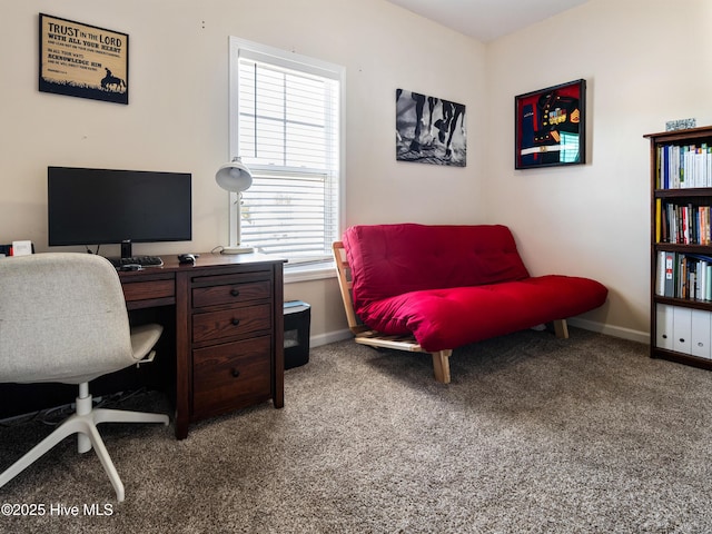 office space featuring carpet flooring and baseboards