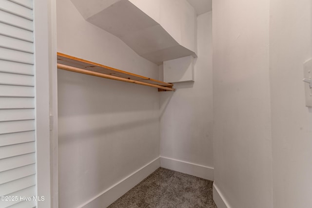 spacious closet with dark carpet