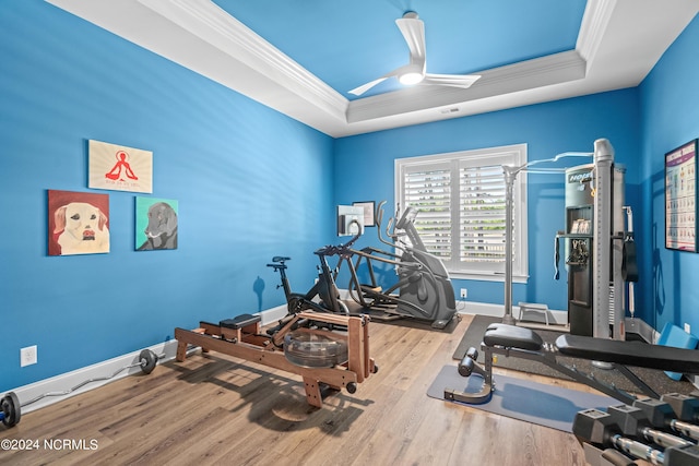 exercise room featuring a tray ceiling, wood finished floors, and ornamental molding