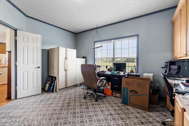 office with ornamental molding and a textured ceiling