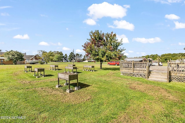 view of yard with a deck