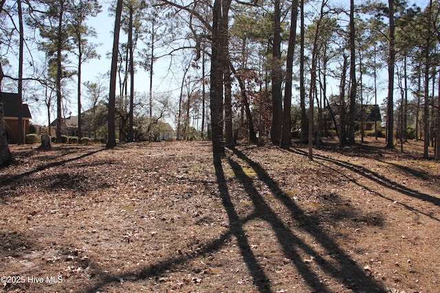 Listing photo 3 for 6836 Weeping Willow Pl SW, Ocean Isle Beach NC 28469