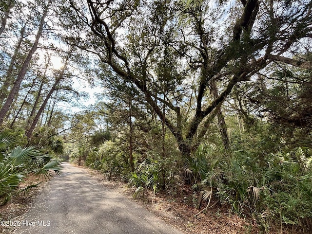 8 Dogwood Trl, Bald Head Island NC, 28461 land for sale