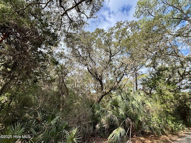 Listing photo 3 for 8 Dogwood Trl, Bald Head Island NC 28461