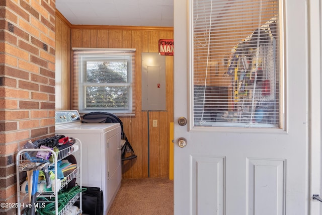 washroom with wooden walls, laundry area, carpet flooring, electric panel, and washer / dryer