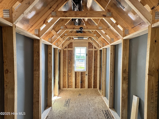 miscellaneous room featuring lofted ceiling