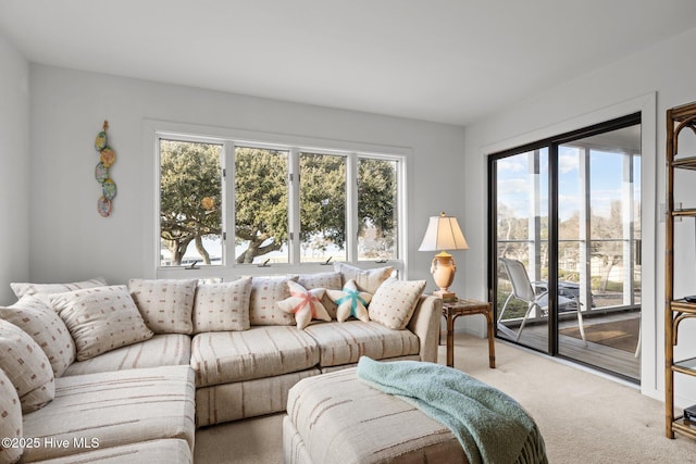 carpeted living room with plenty of natural light