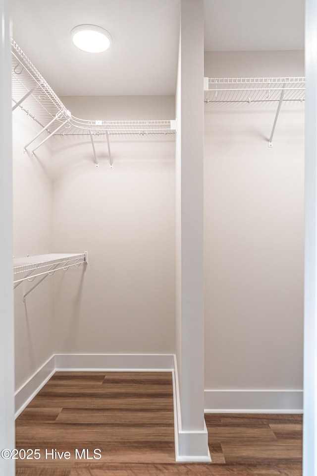 walk in closet featuring wood finished floors