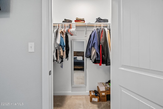 walk in closet featuring carpet flooring