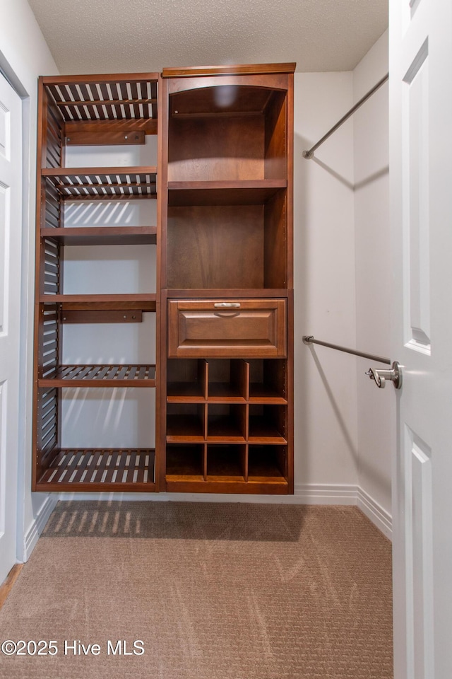 walk in closet with carpet flooring