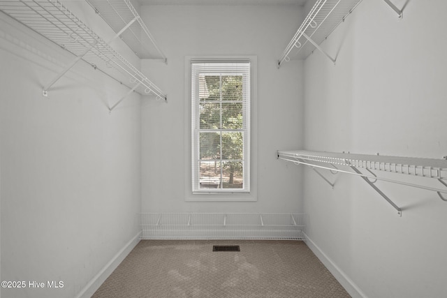 10 Lodge Pole Ln, Pinehurst, NC 28374 - walk in closet featuring carpet