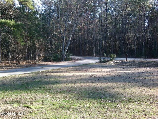 view of yard featuring a forest view