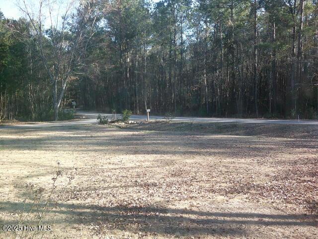 view of yard with a forest view