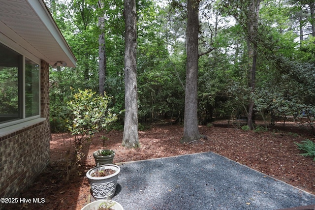 view of yard featuring a patio area