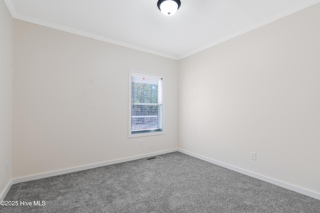 spare room with ornamental molding, carpet flooring, and baseboards