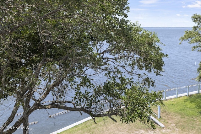 water view with fence