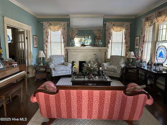 living room featuring crown molding, a fireplace, plenty of natural light, and wood finished floors