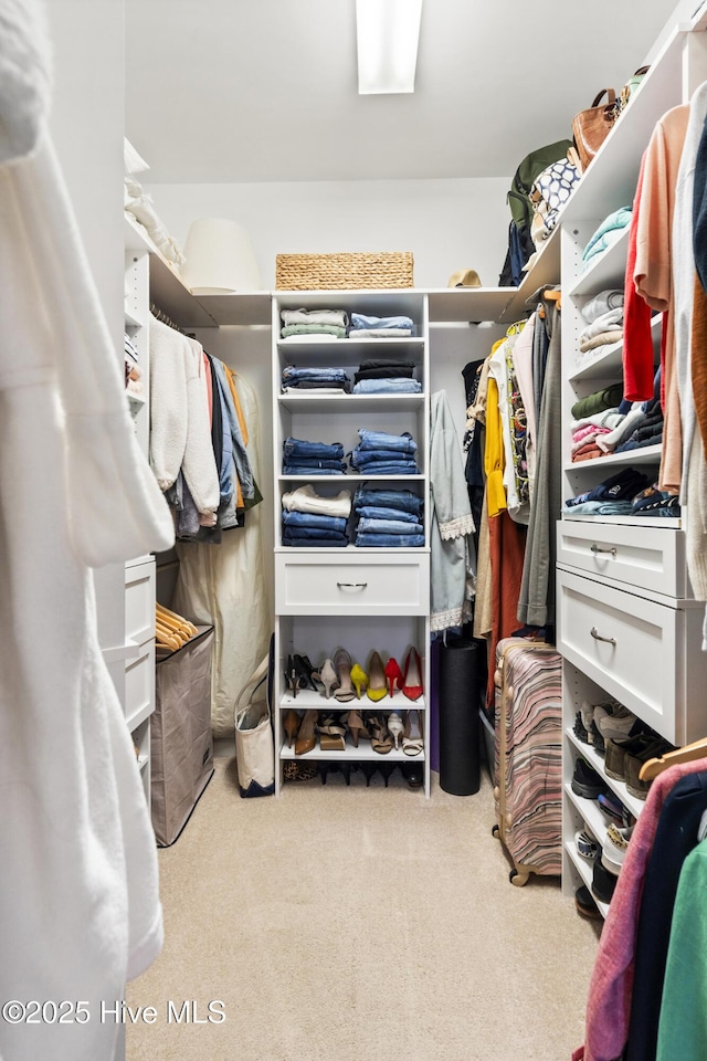 walk in closet featuring carpet flooring