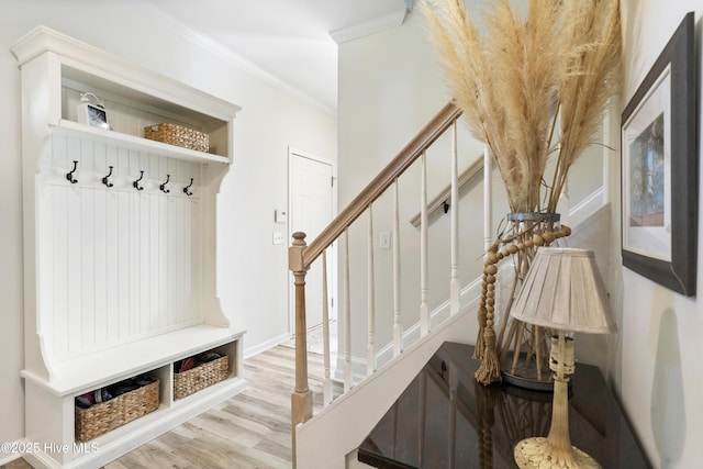 mudroom featuring crown molding and wood finished floors