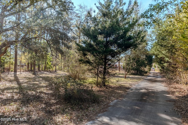 122 Old Fayetteville Rd, Leland, NC 28451 - view of asphalt road