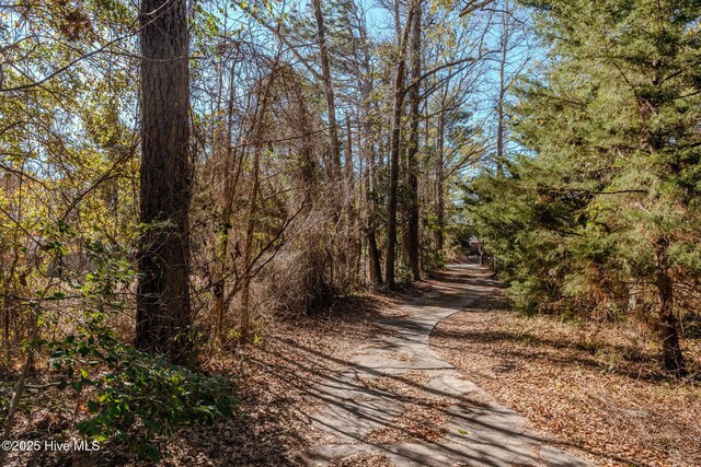 122 Old Fayetteville Rd, Leland, NC 28451 - view of road