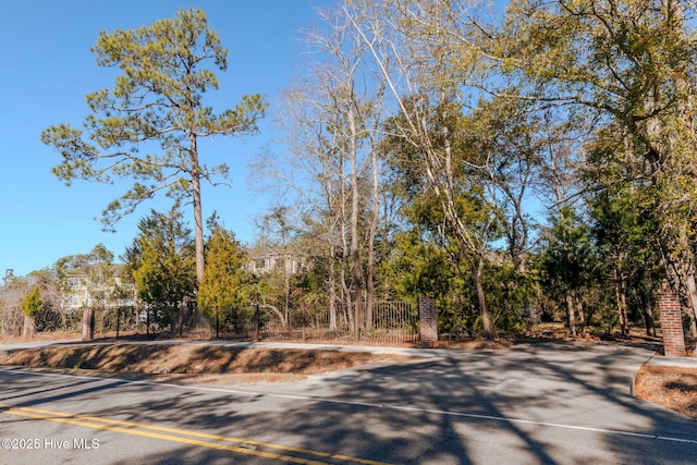 122 Old Fayetteville Rd, Leland, NC 28451 - view of road featuring a gate