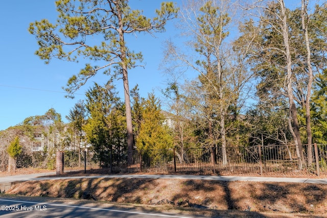 122 Old Fayetteville Rd, Leland, NC 28451 - view of street