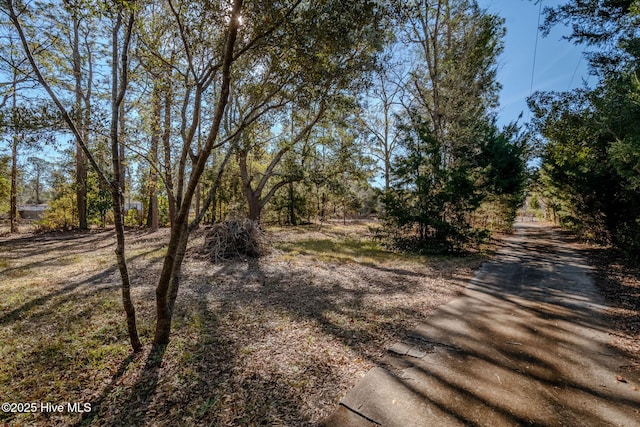 122 Old Fayetteville Rd, Leland, NC 28451 - view of street