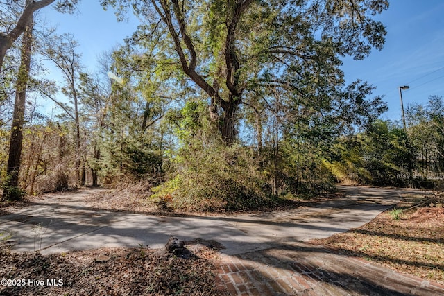 122 Old Fayetteville Rd, Leland, NC 28451 - view of road featuring a view of trees