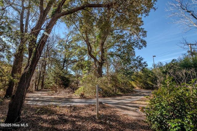 122 Old Fayetteville Rd, Leland, NC 28451 - view of street