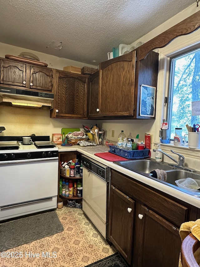 kitchen with light countertops, a sink, dark brown cabinetry, white appliances, and under cabinet range hood