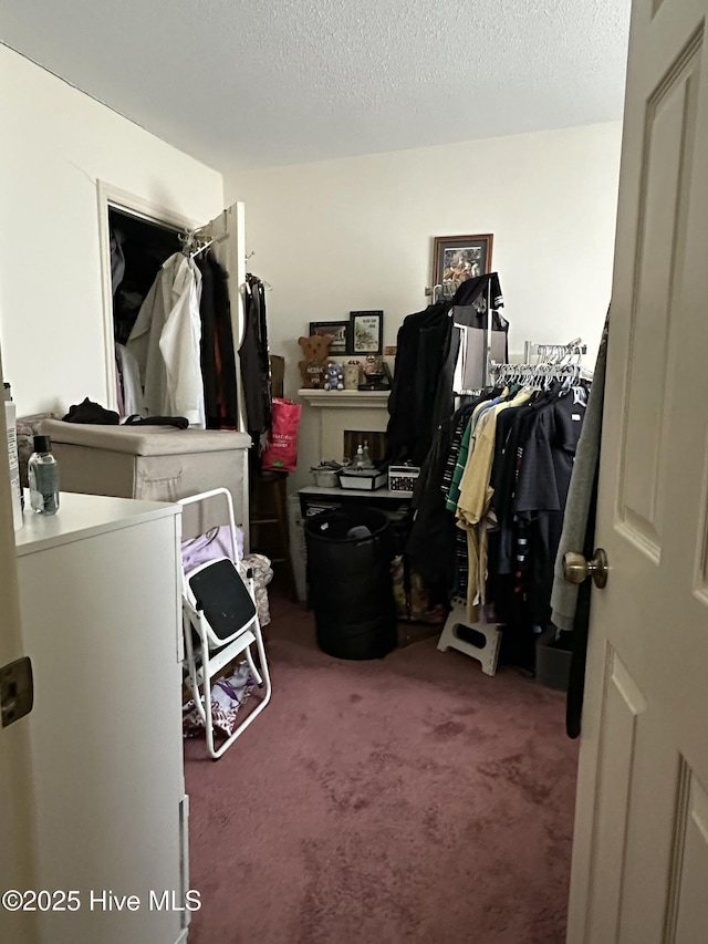 walk in closet featuring carpet flooring