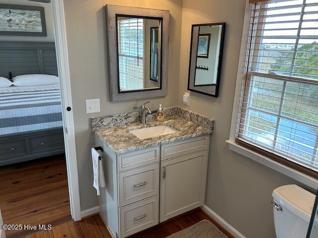 ensuite bathroom featuring wood finished floors, plenty of natural light, ensuite bath, and vanity