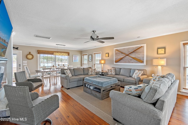 living area featuring a textured ceiling, a ceiling fan, visible vents, light wood-style floors, and ornamental molding