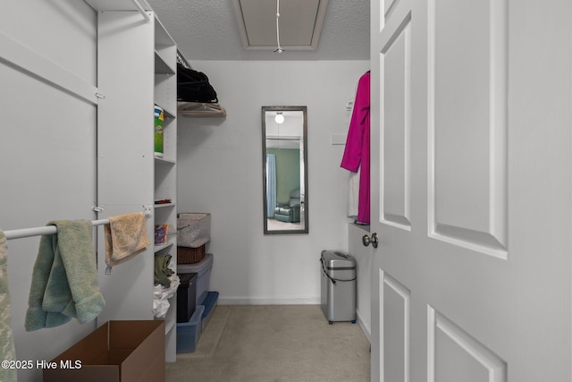 spacious closet featuring attic access and light colored carpet