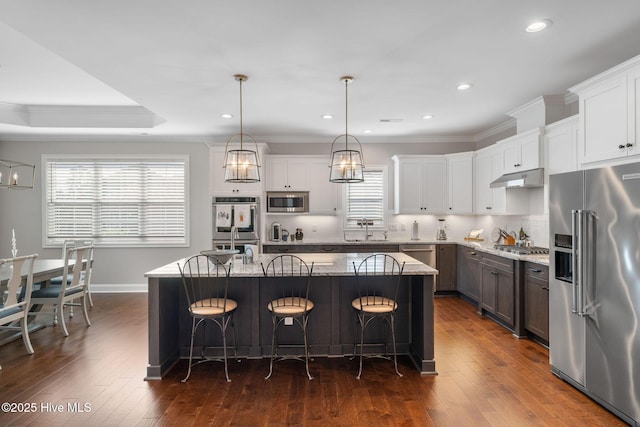 kitchen featuring appliances with stainless steel finishes, dark wood-type flooring, a sink, and under cabinet range hood