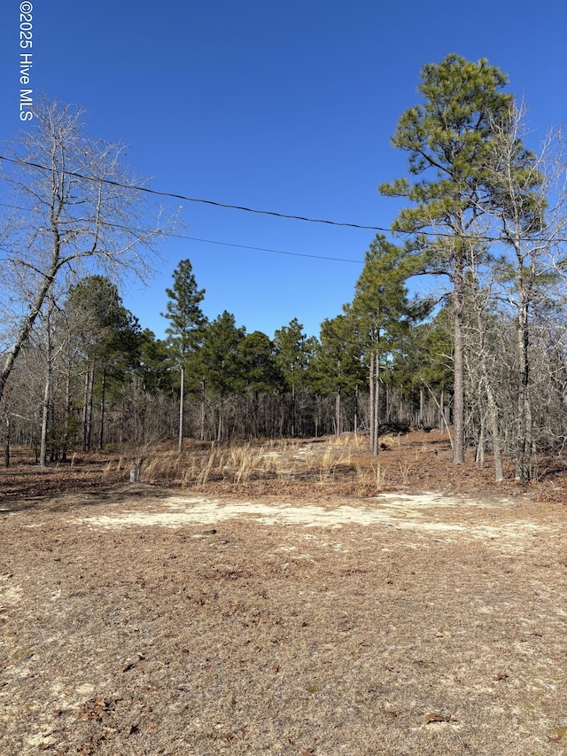 176 Lonnie Ln Lot # 114, Rockingham NC, 28379 land for sale