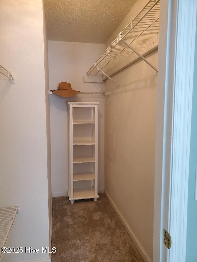 spacious closet featuring carpet floors