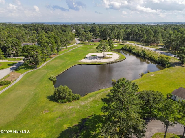 birds eye view of property with a water view and a wooded view