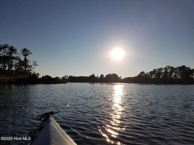 1741 Snake Island Rd, Belhaven, NC 27810 - water view